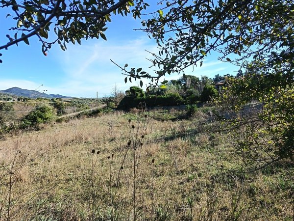 terreno edificabile in vendita a Cerveteri in zona Cerqueto
