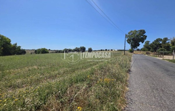 terreno agricolo in vendita a Cerveteri in zona San Martino