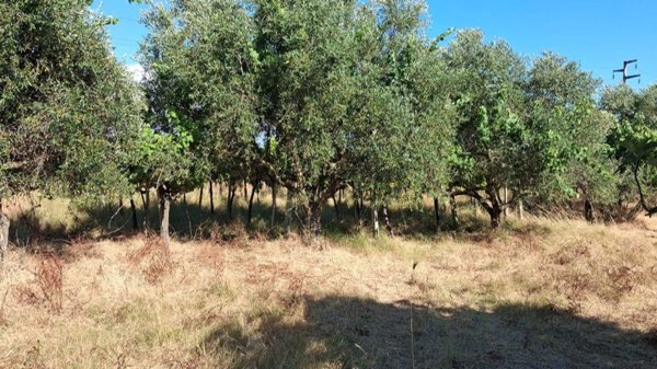 locale di sgombero in vendita a Cerveteri in zona Ponte Coperto