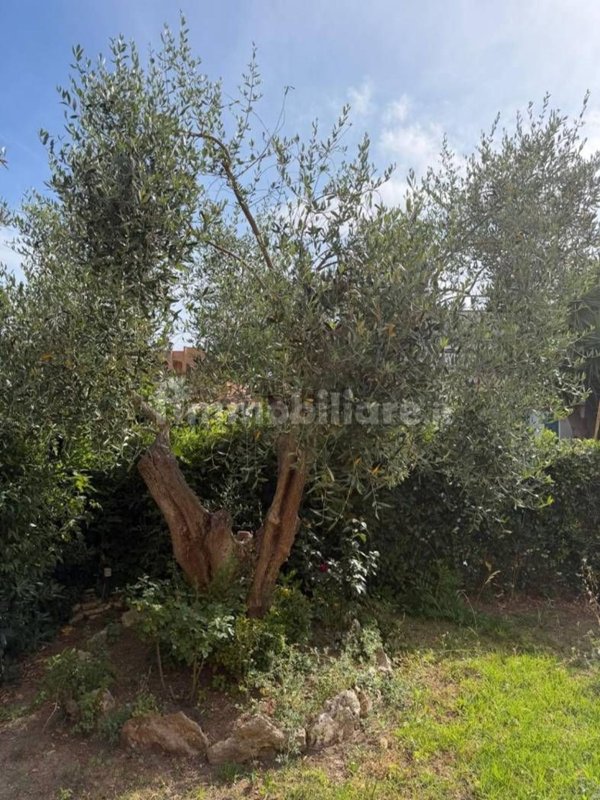 appartamento in vendita a Cerveteri in zona Campo di Mare