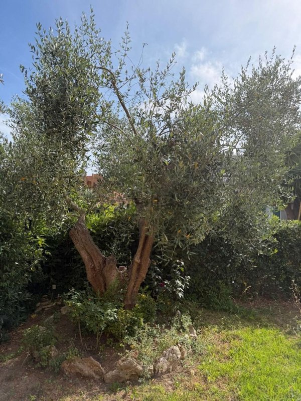 appartamento in vendita a Cerveteri in zona Campo di Mare