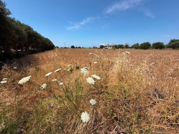terreno agricolo in vendita a Cerveteri in zona Furbara