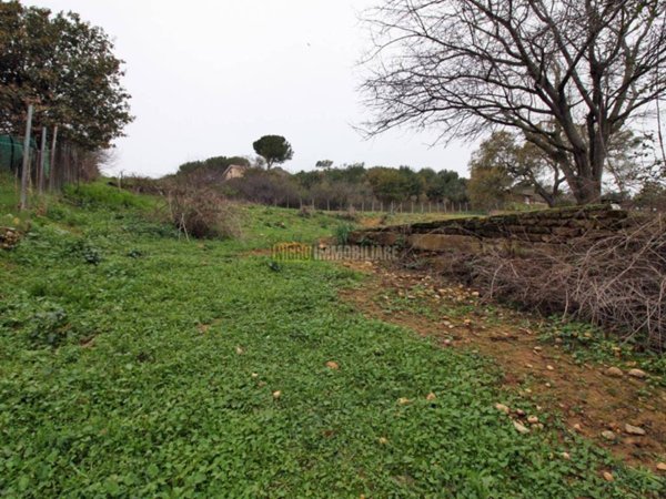 terreno agricolo in vendita a Cerveteri in zona Cerqueto