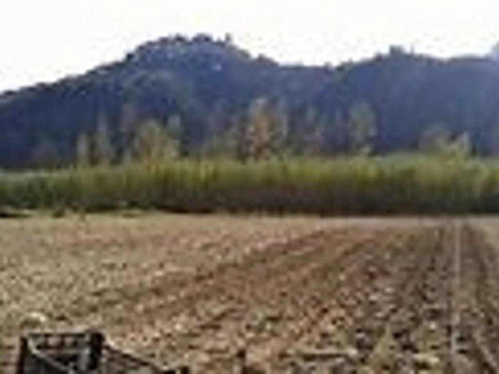 terreno agricolo in vendita a Cerveteri
