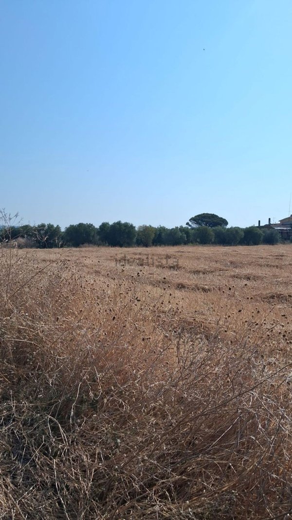 terreno in vendita a Cerveteri in zona Zambra