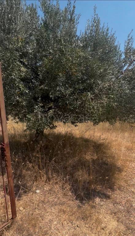 terreno in vendita a Cerveteri