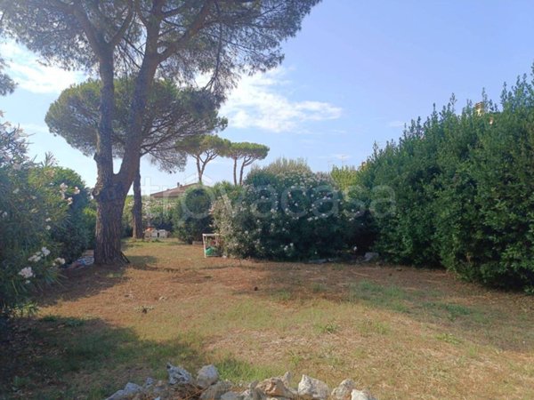 terreno in vendita a Cerveteri