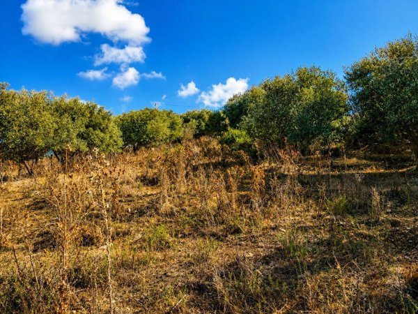 terreno in vendita a Cerveteri in zona Cerqueto