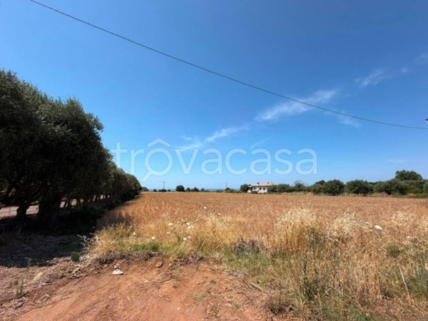 terreno in vendita a Cerveteri in zona Furbara