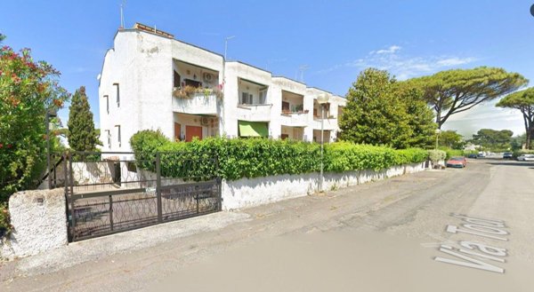 box auto in vendita a Cerveteri