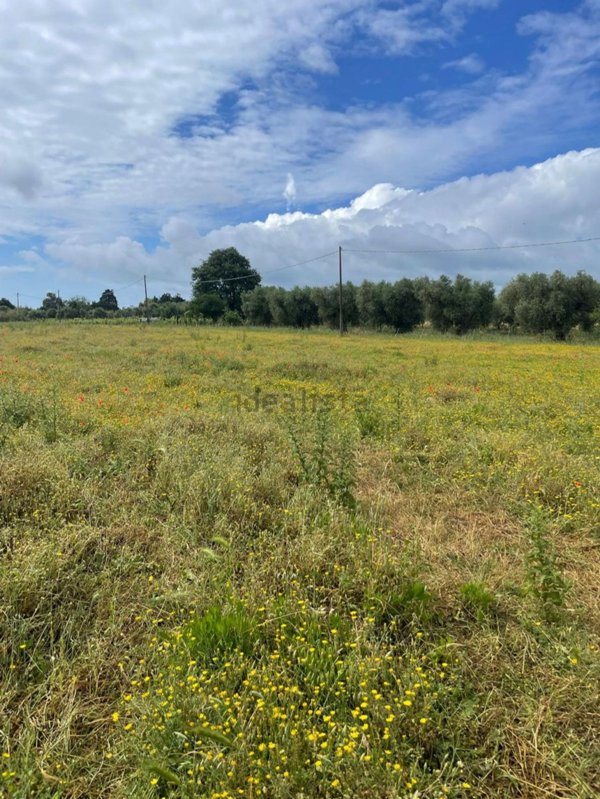 terreno in vendita a Cerveteri in zona Zambra