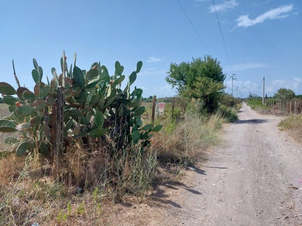 terreno in vendita a Cerveteri
