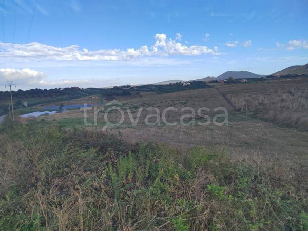 terreno agricolo in vendita a Cerveteri in zona Gricciano
