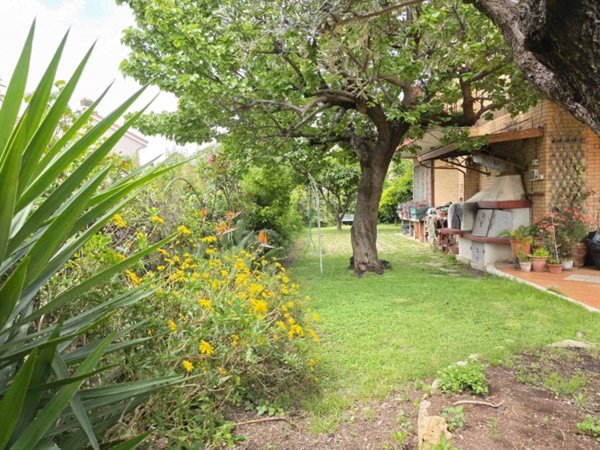 casa indipendente in vendita a Cerveteri in zona Valcanneto