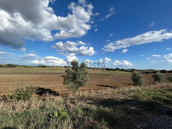 terreno in vendita a Cerveteri in zona San Martino