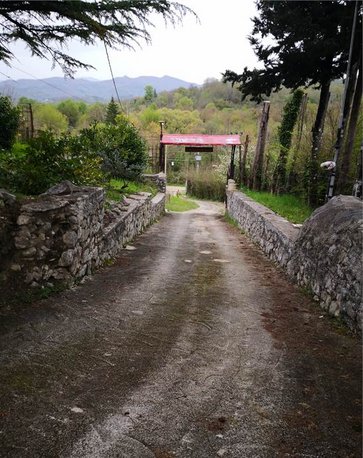 casa indipendente in vendita a Ciciliano
