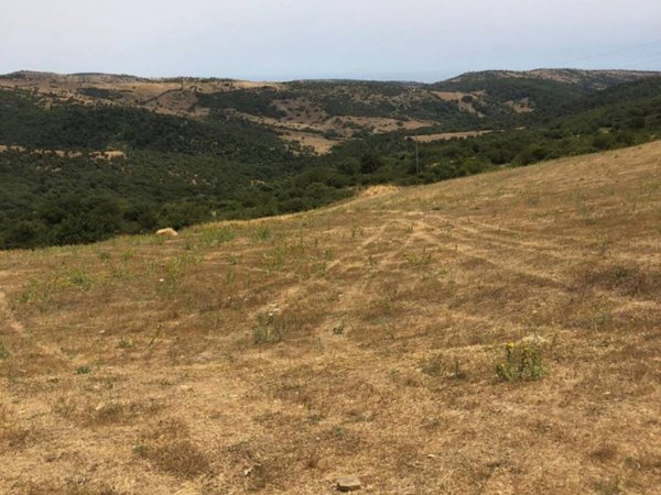terreno agricolo in vendita a Civitavecchia