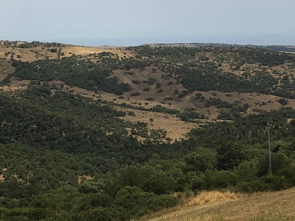 terreno agricolo in vendita a Civitavecchia
