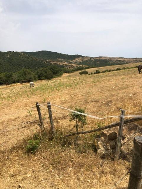 terreno agricolo in vendita a Civitavecchia