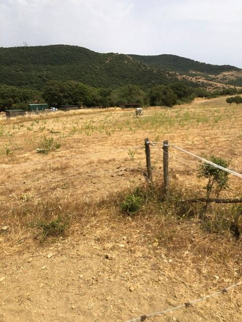 terreno in vendita a Civitavecchia