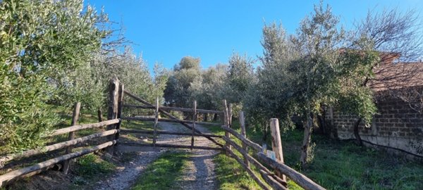 casa indipendente in vendita a Civitavecchia