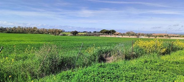 terreno agricolo in vendita a Civitavecchia