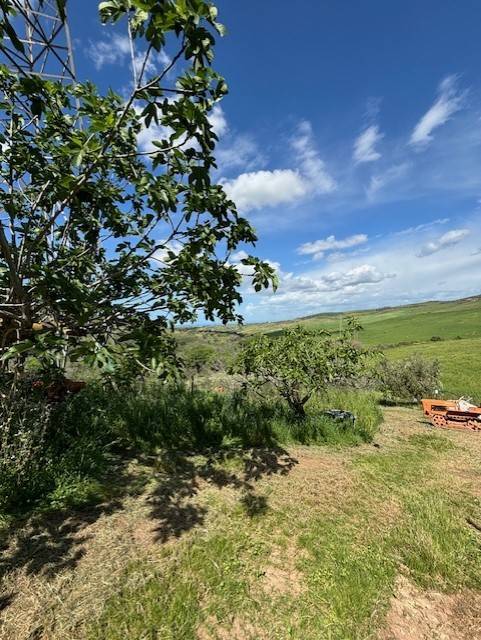 terreno agricolo in vendita a Civitavecchia