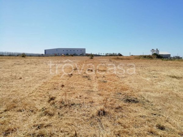 terreno agricolo in vendita a Civitavecchia