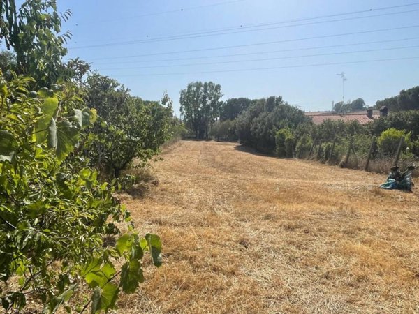 terreno agricolo in vendita a Civitavecchia