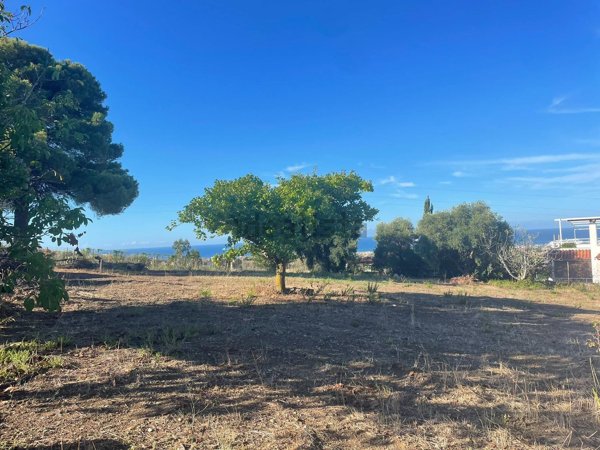 terreno agricolo in vendita a Civitavecchia
