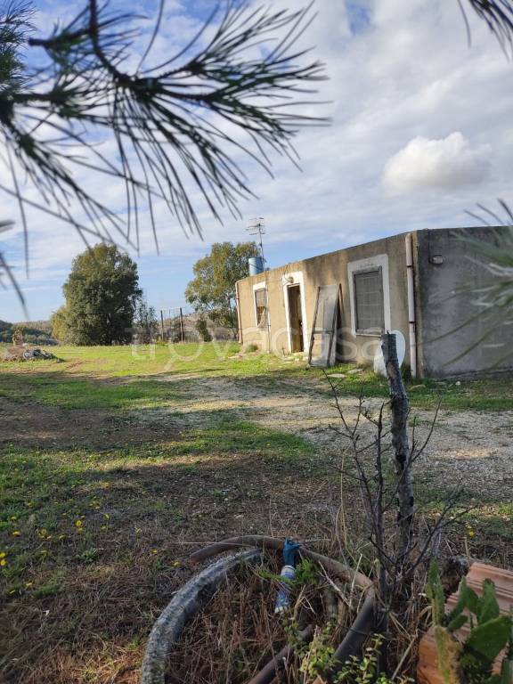 terreno agricolo in vendita a Civitavecchia