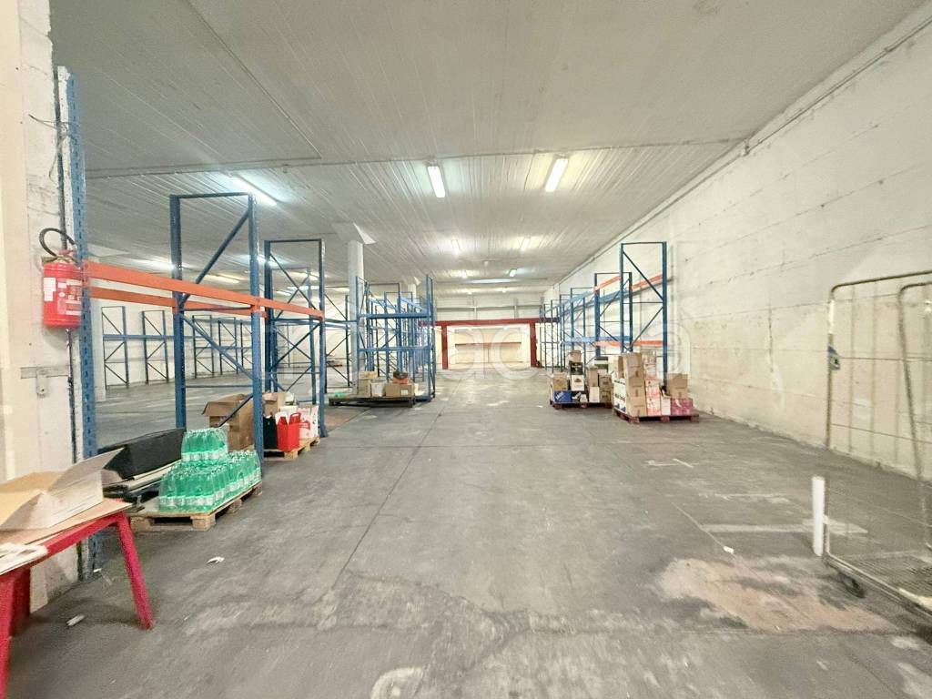 negozio in vendita a Civitavecchia
