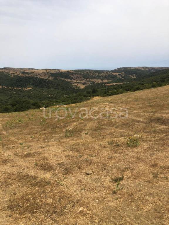 azienda agricola in vendita a Civitavecchia