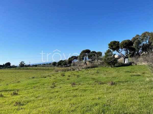 terreno agricolo in vendita a Civitavecchia