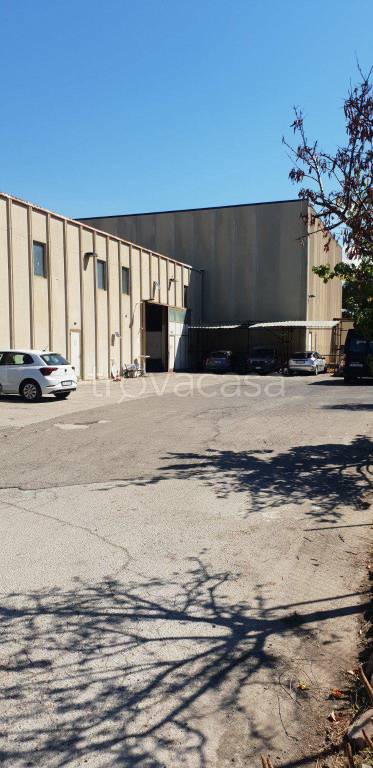 appartamento in vendita a Civitavecchia