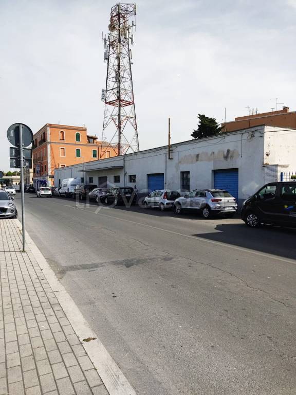 negozio in vendita a Civitavecchia