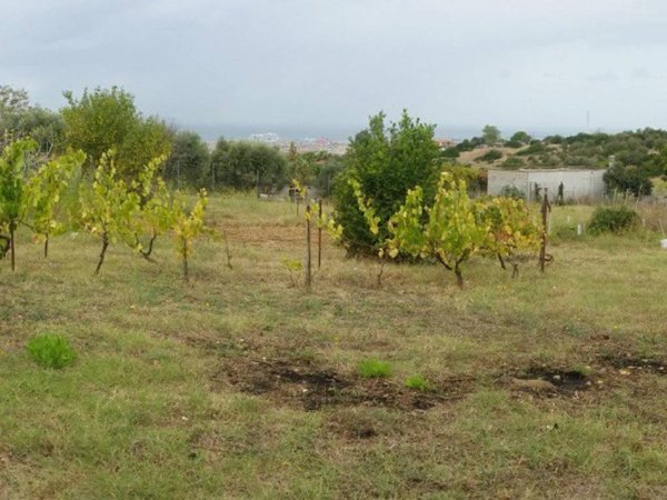 terreno agricolo in vendita a Civitavecchia