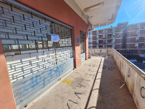 negozio in vendita a Civitavecchia