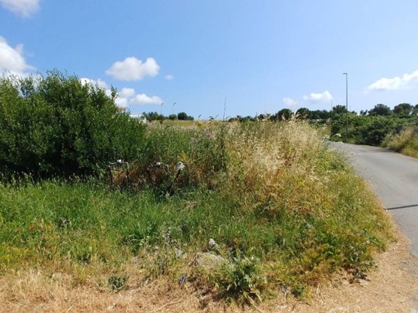 terreno agricolo in vendita a Civitavecchia