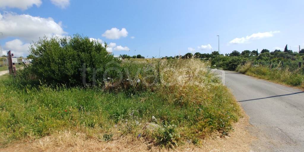 terreno agricolo in vendita a Civitavecchia