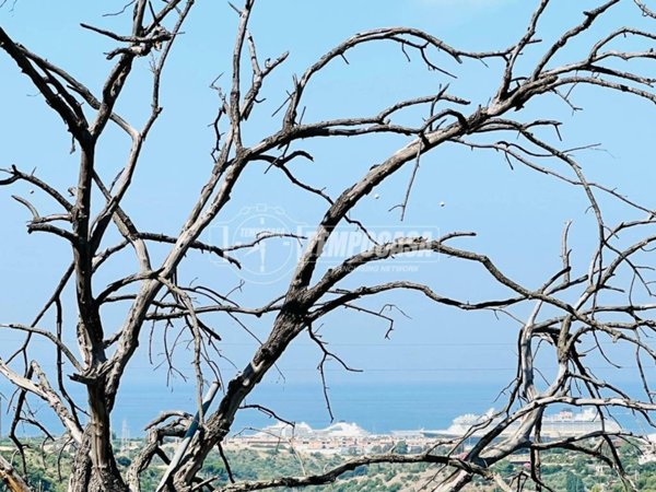 terreno agricolo in vendita a Civitavecchia