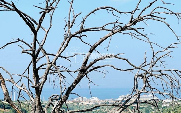 terreno agricolo in vendita a Civitavecchia
