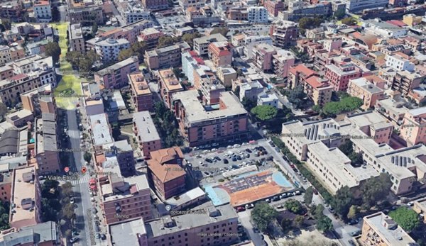 negozio in vendita a Civitavecchia