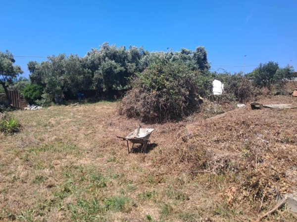 terreno agricolo in vendita a Civitavecchia
