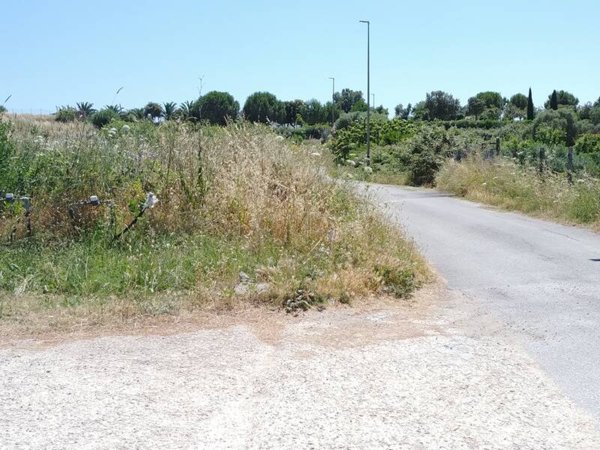 terreno agricolo in vendita a Civitavecchia