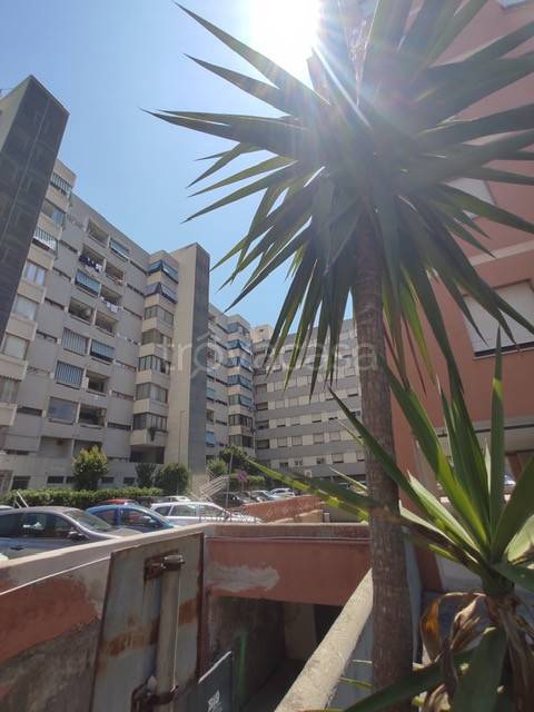 appartamento in vendita a Civitavecchia