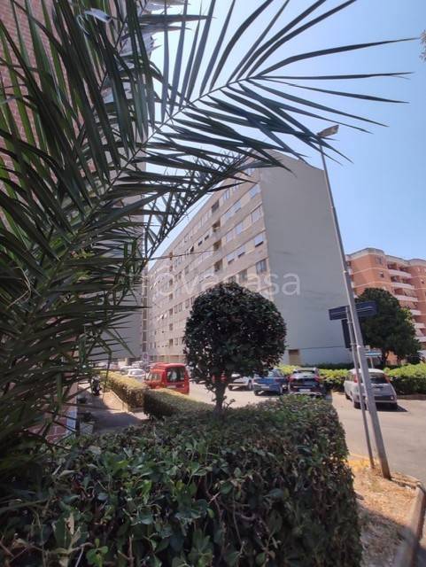 appartamento in vendita a Civitavecchia