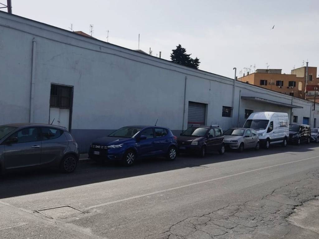 negozio in vendita a Civitavecchia