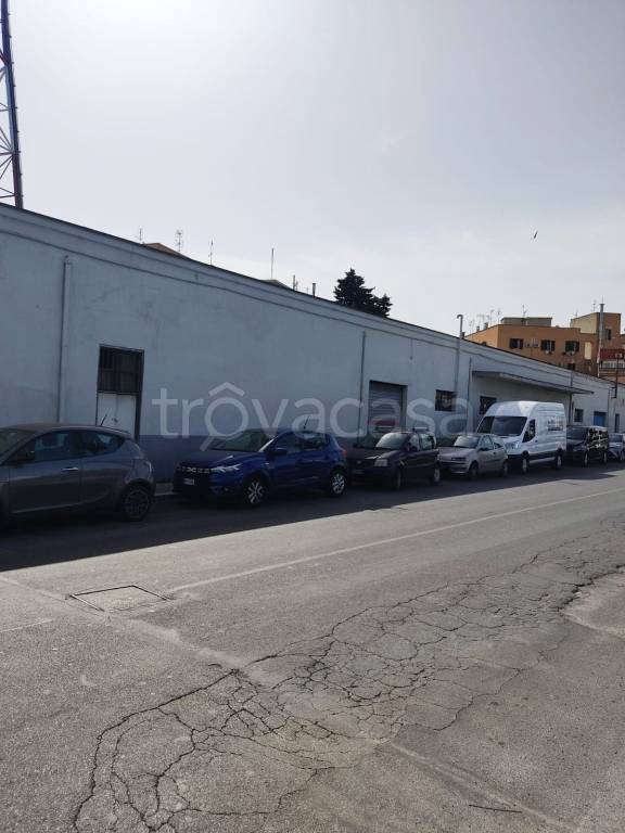 negozio in vendita a Civitavecchia