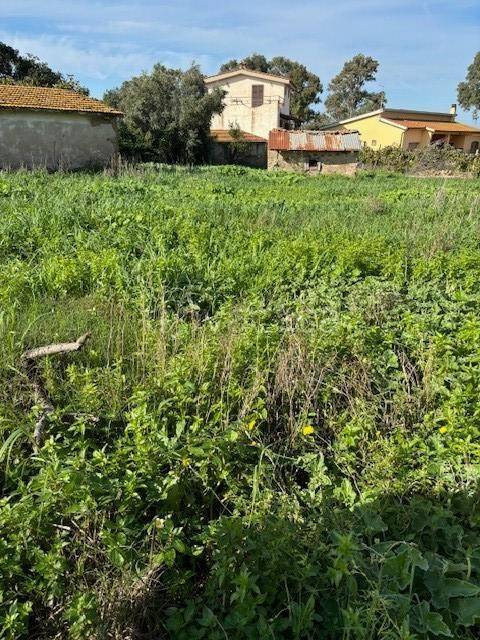 appartamento in vendita a Civitavecchia